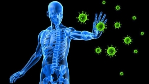 Improved immune system